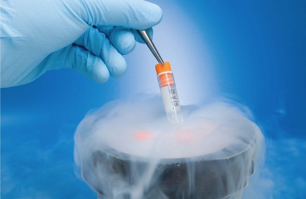 Frozen Embryo Transfer Procedure In Hyderabad | Angels Fertility